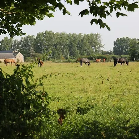 Apartamento La Dunette : Loft Vue Imprenable