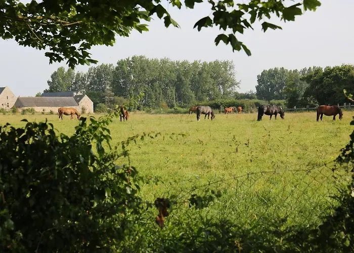Apartment La Dunette : Loft Vue Imprenable